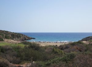cosa vedere a siracusa e dintorni riserva di vendicari 