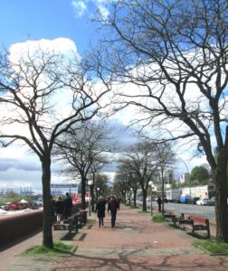 Cosa vedere ad Amburgo st. Pauli Hafenstrasse