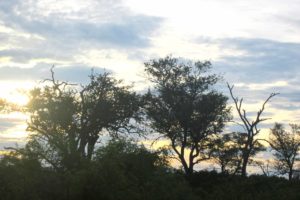 tramonto al kruger park