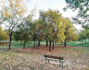 lunetta gamberini in uno dei quartieri di bologna più belli