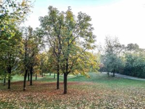 mazzini tra i quartieri di bologna più belli da vivere