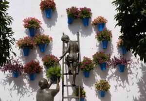córdoba cosa vedere i patios