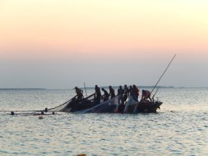 trasferirsi in africa da adulti