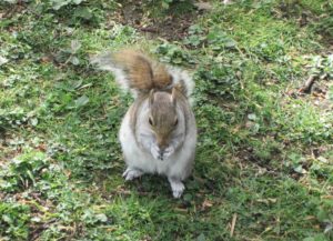 andare a vivere e lavorare a Londra