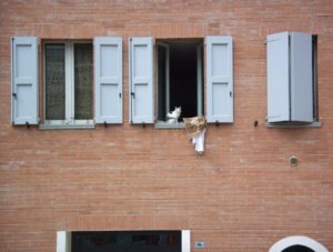 vivere a bologna nel quartiere lame