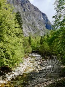 passeggiare al triglav park nei pressi del lago di bohinj in slovenia
