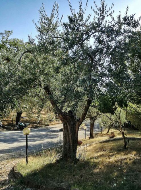 Schermata 2017-07-12 alle 17.45.23