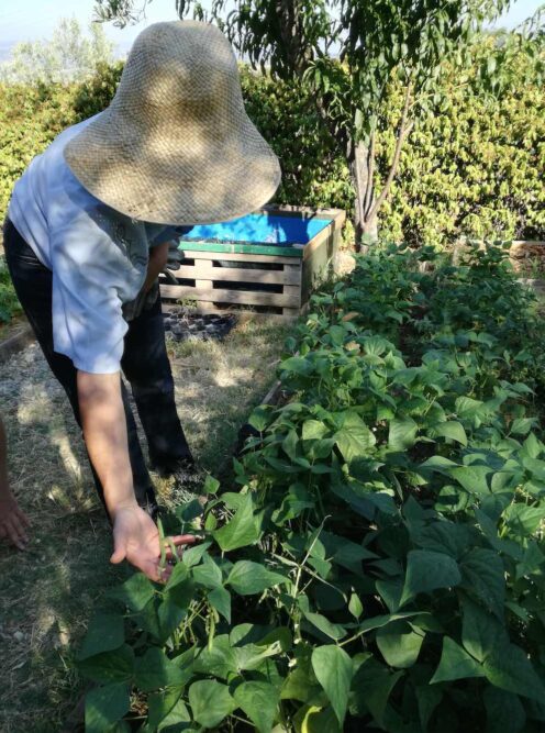 Schermata 2017-07-12 alle 17.50.24