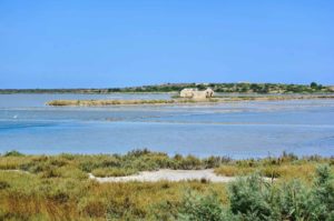 cosa vedere a Siracusa la riserva orientata di Vendicari