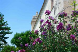 Cosa vedere a Ragusa giardino ibleo