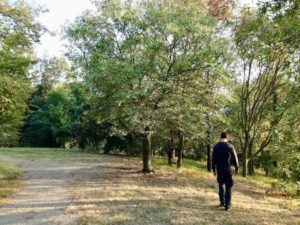 tra le cose da vedere a Bologna fuori dal centro c'è il parco di monte donato sui colli