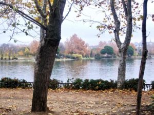 cosa visitare a Madrid Parco Casa de Campo