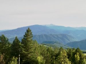 Il Parco Avventura Cerwood si trova nell'Appennino Tosco-Emiliano