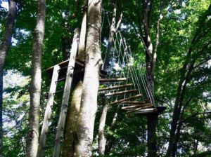 Percorsi avventura al parco avventura cerwood