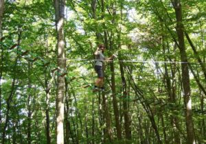Percorsi per adulti al parco avventura cerwood