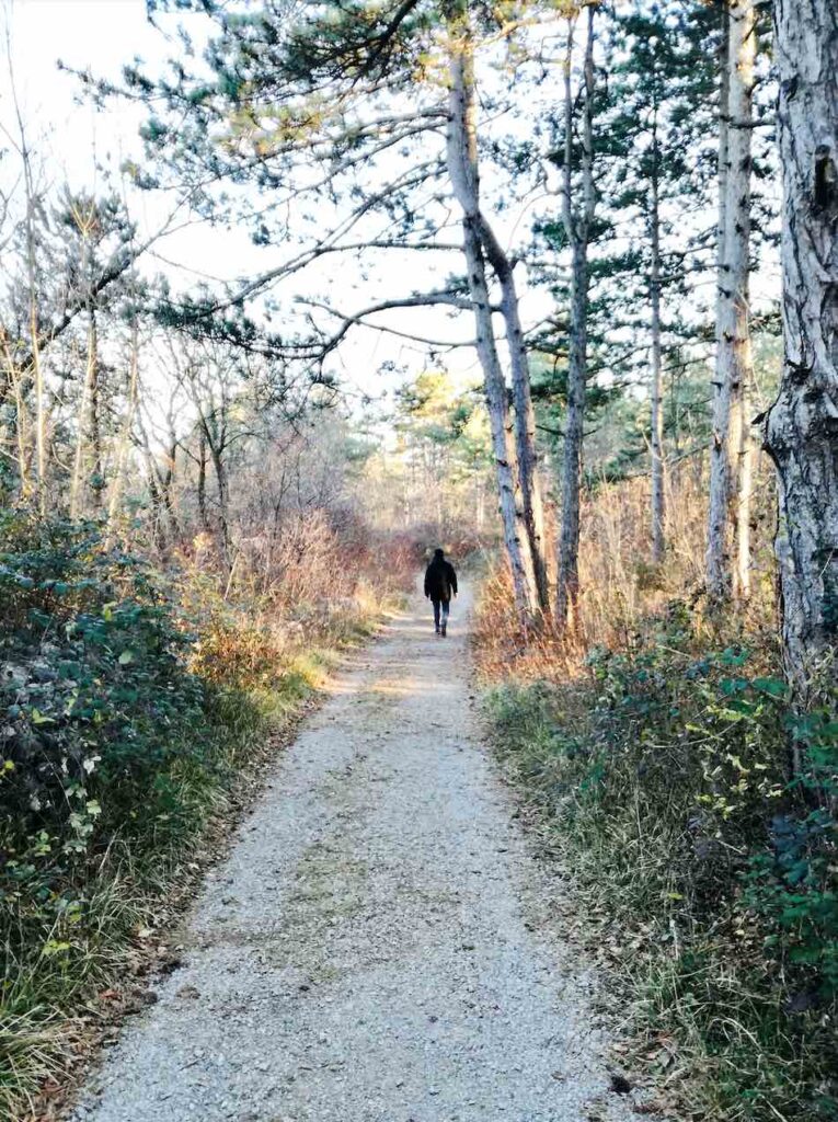 escursione al brestovec