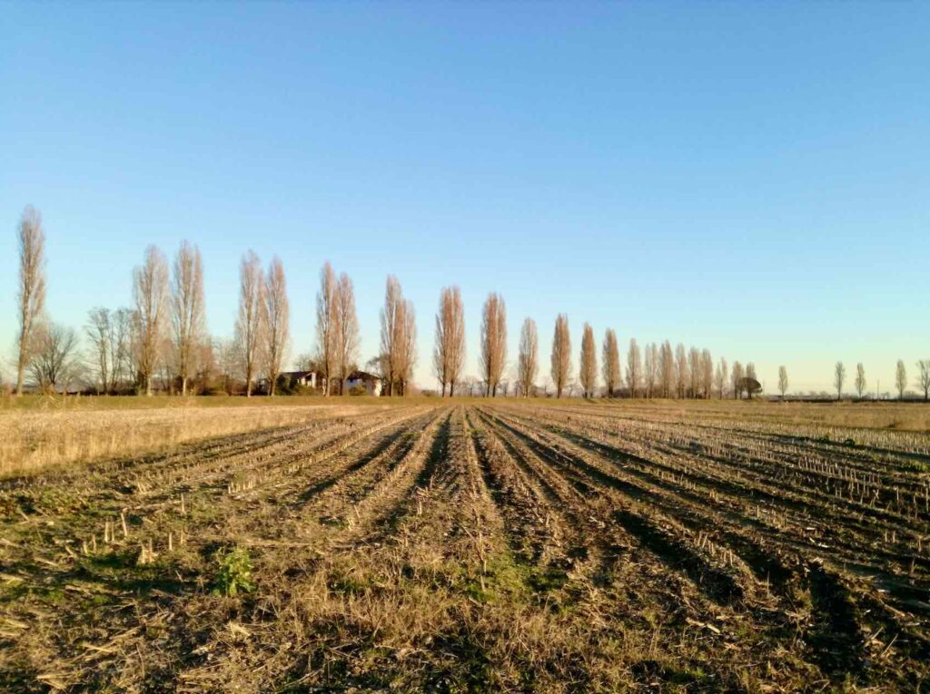 passeggiate in friuli