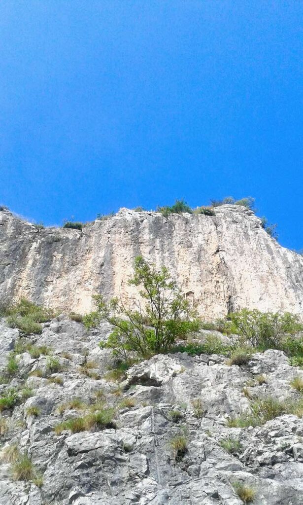 sentieri del fvg       