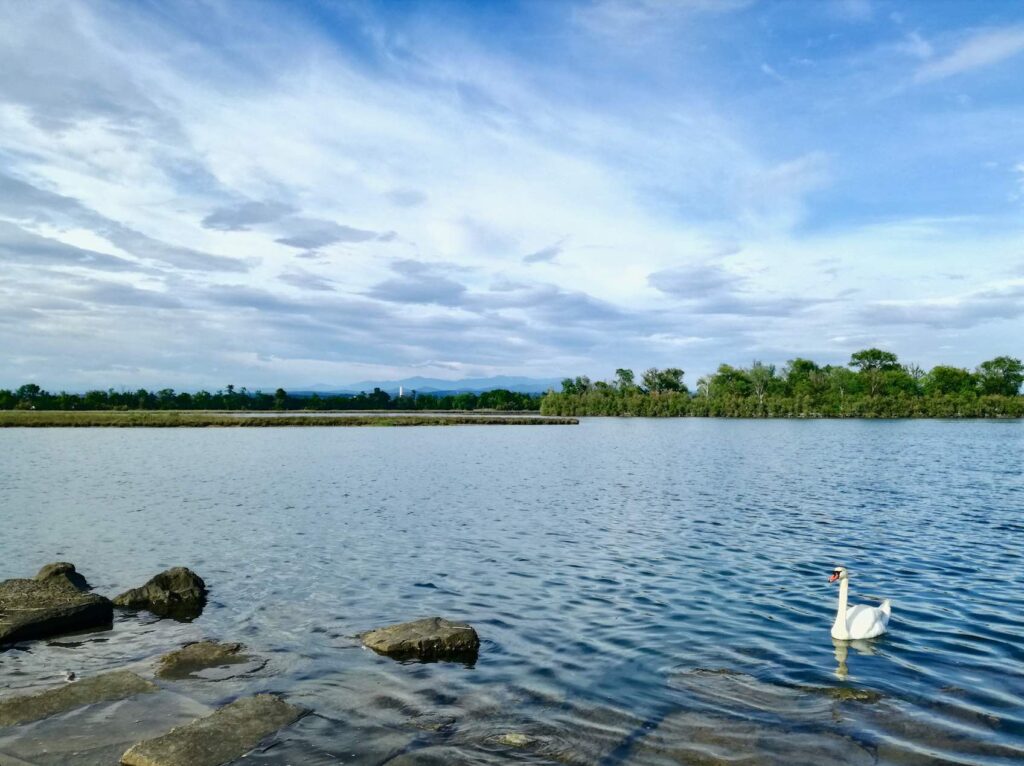 sentiero isola della cona in fvg