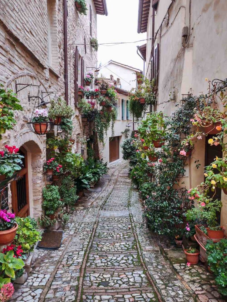 Spello in Umbria