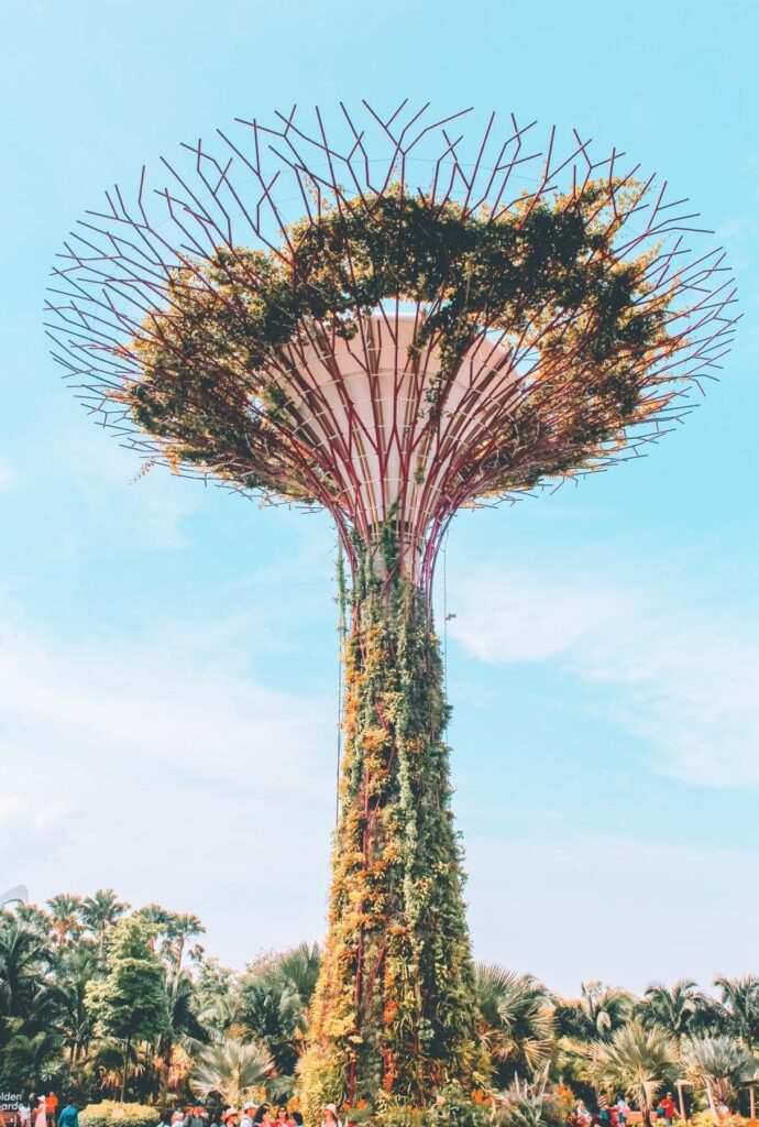 singapore cosa vedere l'albero della vita