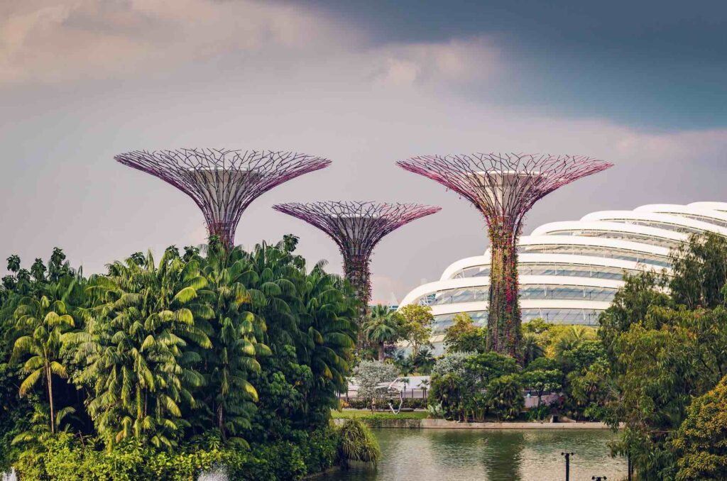 visitare singapore