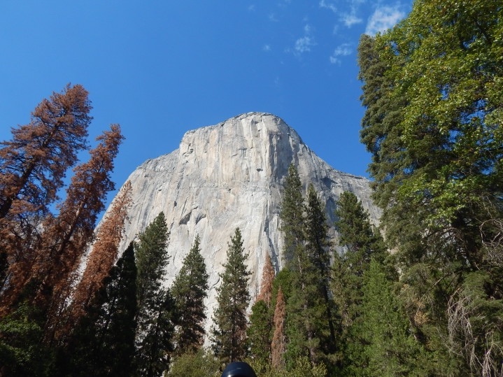 visitare lo Yosemite tra i parchi USA ovest