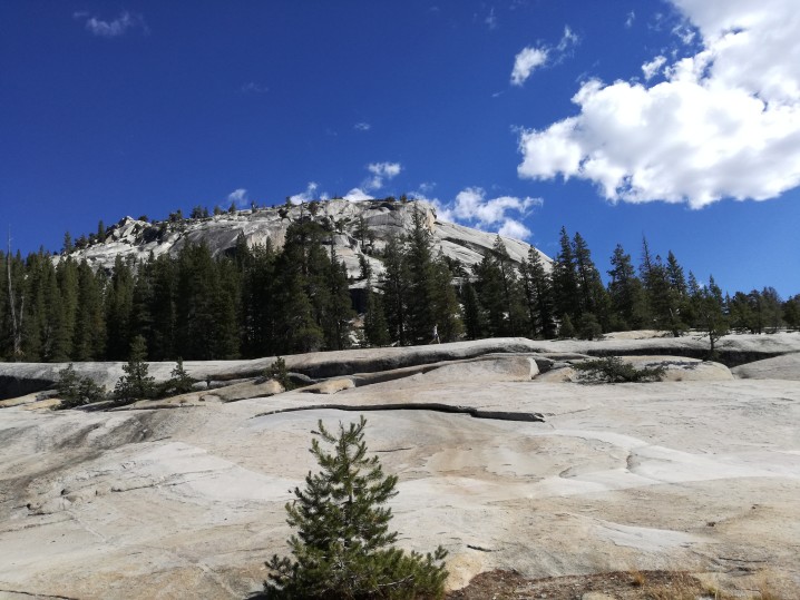 yosemite tra i parchi USA ovest