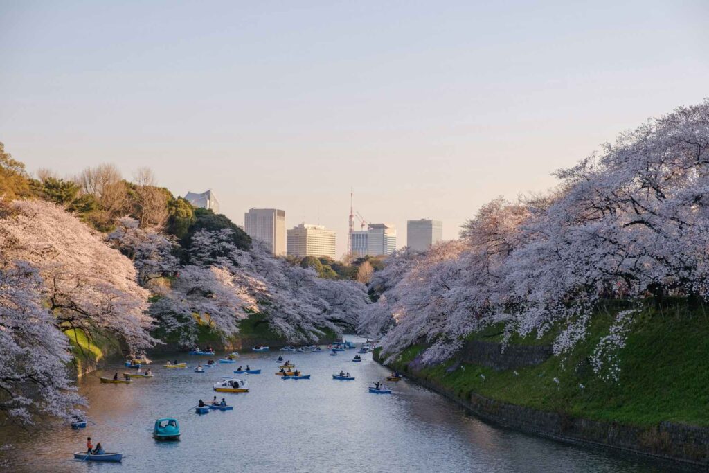 itinerario cose da vedere a tokyo
