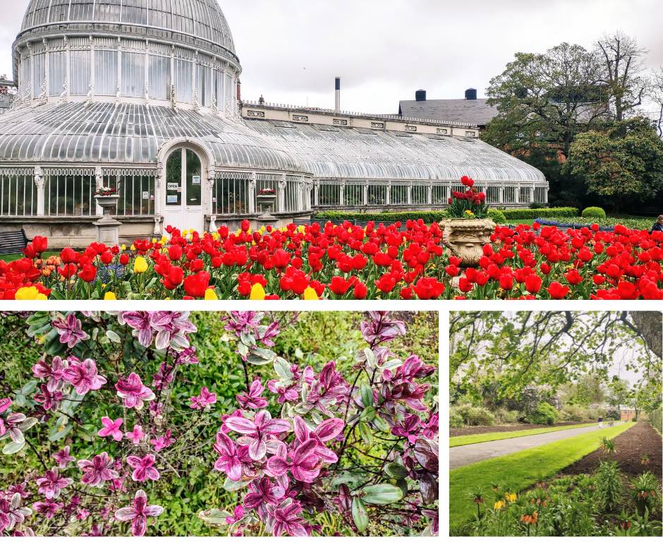 belfast cosa vedere, botanic garden