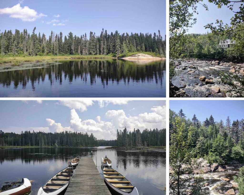 quebéc cosa vedere, la riserva faunistica Laurentides
