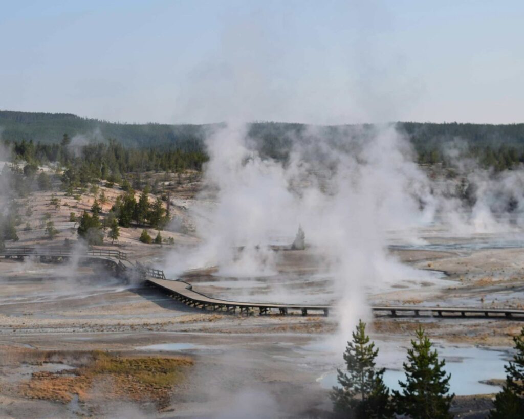 cosa vedere nel parco yellowstone