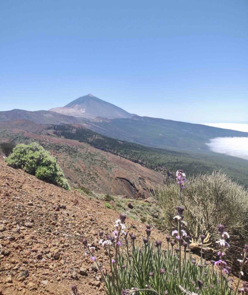 cose da vedere a tenerife