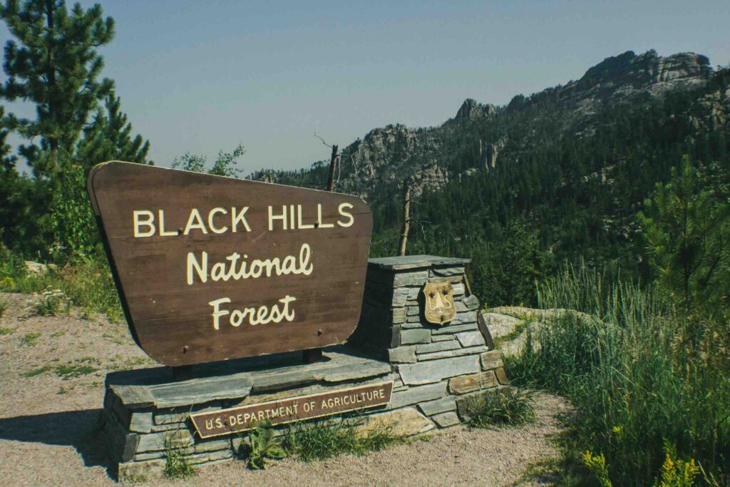 black hills national forest