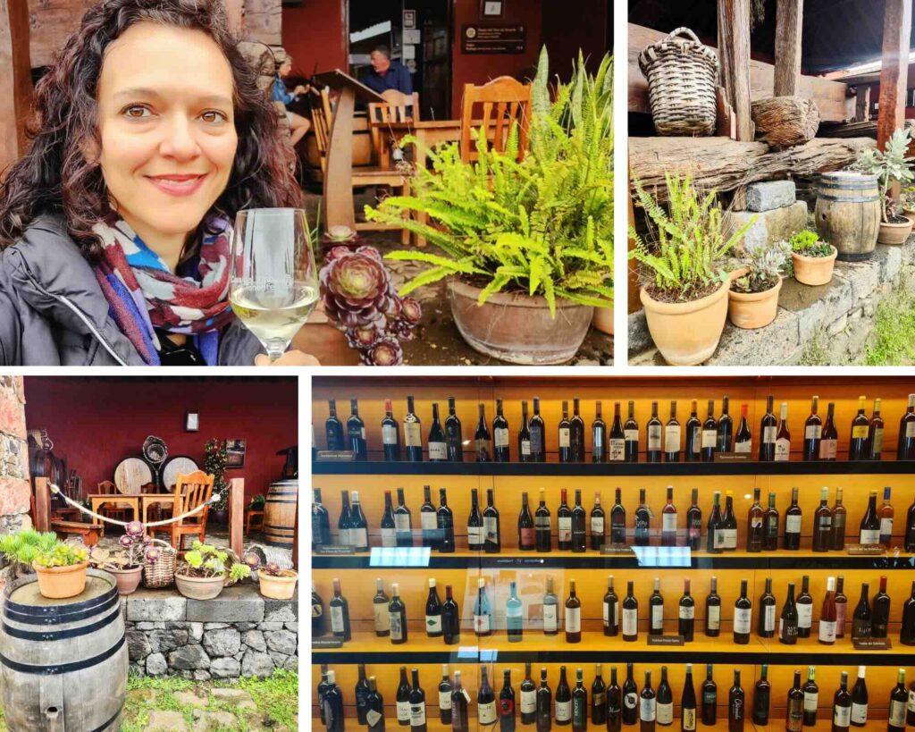 Tenerife cosa vedere, museo del vino