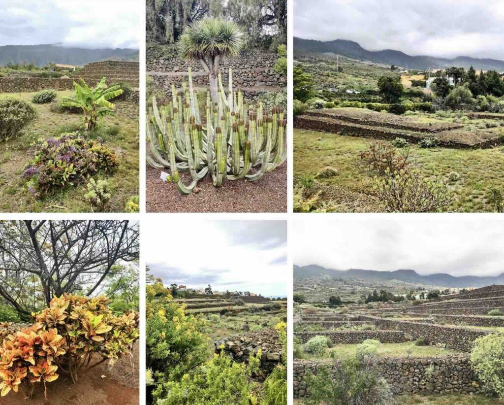 Tenerife cosa vedere, Piramidi Guyimar