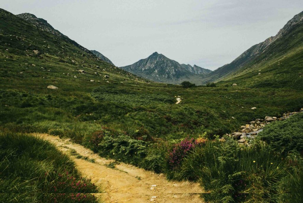 Isole scozzesi: Arran